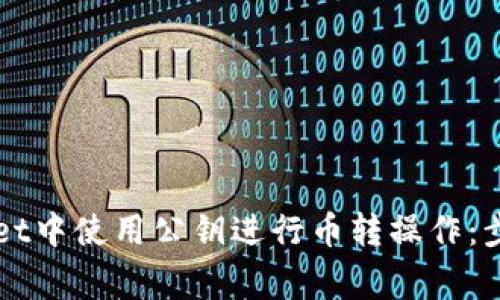 如何在TPWallet中使用公钥进行币转操作:步骤与注意事项
