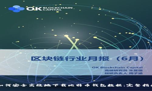 如何安全高效地下载比特币钱包数据:完整指南