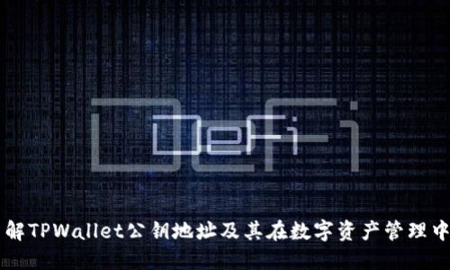 深入了解TPWallet公钥地址及其在数字资产管理中的作用
