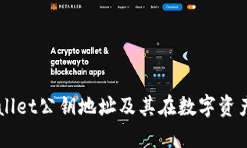 深入了解TPWallet公钥地址及其在数字资产管理中的作用