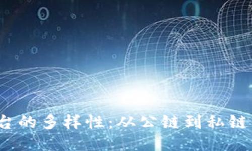 探秘区块链创新平台的多样性:从公链到私链,行业应用一网打尽