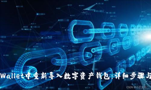 如何在TPWallet中重新导入数字资产钱包：详细步骤与实用技巧