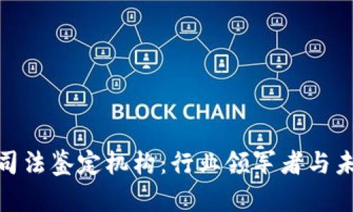探索区块链司法鉴定机构:行业领军者与未来发展趋势