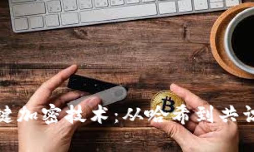 解析区块链中关键加密技术:从哈希到共识机制的全面探讨