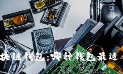 深入探索区块链钱包：哪种钱包最适合你的需求？