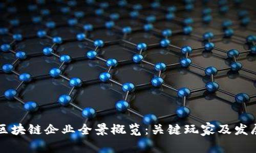 中国区块链企业全景概览：关键玩家及发展动态