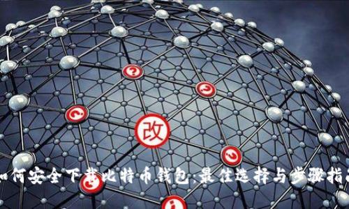 如何安全下载比特币钱包：最佳选择与步骤指南