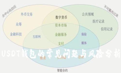 USDT钱包的常见问题与风险分析
