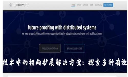 区块链技术中的横向扩展解决方案: 探索多种有效的方法
