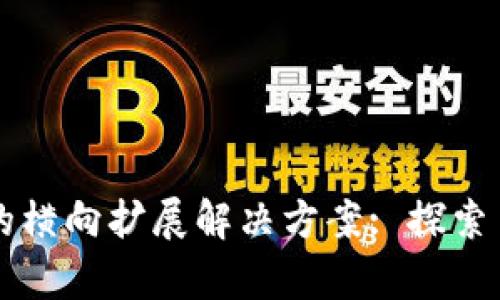 区块链技术中的横向扩展解决方案: 探索多种有效的方法