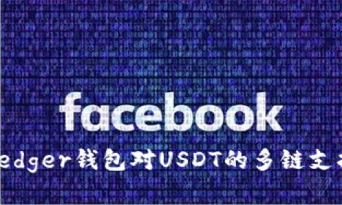全面解析Ledger钱包对USDT的多链支持及其优势