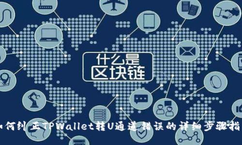 如何纠正TPWallet转U通道错误的详细步骤指南