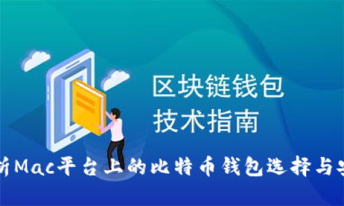全面解析Mac平台上的比特币钱包选择与安装指导