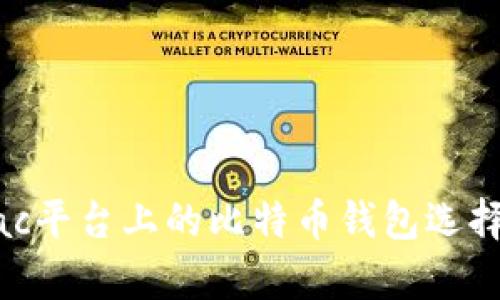 全面解析Mac平台上的比特币钱包选择与安装指导