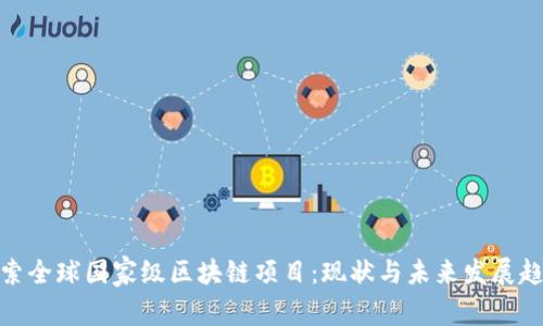 探索全球国家级区块链项目:现状与未来发展趋势