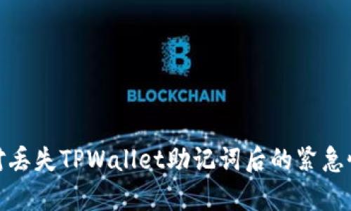 如何应对丢失TPWallet助记词后的紧急恢复措施