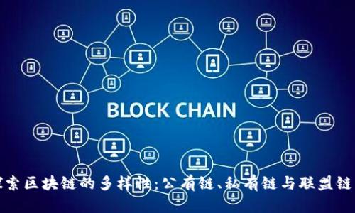 深入探索区块链的多样性：公有链、私有链与联盟链的比较
