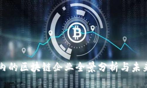 海南区域内的区块链企业全景分析与未来发展展望