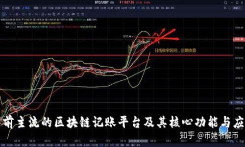 解析当前主流的区块链记账平台及其核心功能与应用场景