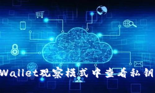 如何在TPWallet观察模式中查看私钥:详细指南
