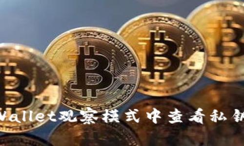 如何在TPWallet观察模式中查看私钥:详细指南