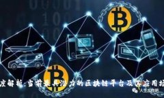 深度解析：当前最具潜力