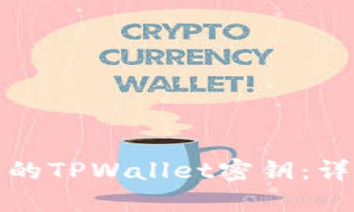 如何找回丢失的TPWallet密钥:详细步骤与技巧