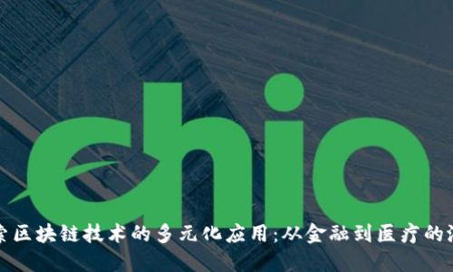 探索区块链技术的多元化应用:从金融到医疗的潜力