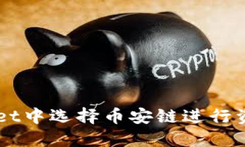 如何在TPWallet中选择币安链进行资产管理与交易