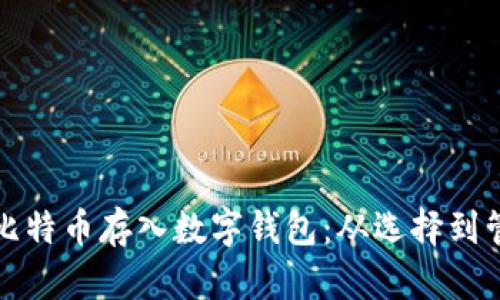 如何安全地将比特币存入数字钱包：从选择到管理的完整指南