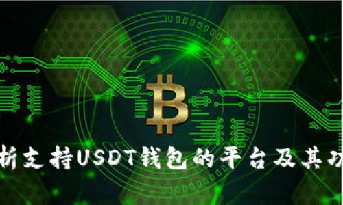 全面解析支持USDT钱包的平台及其功能特性