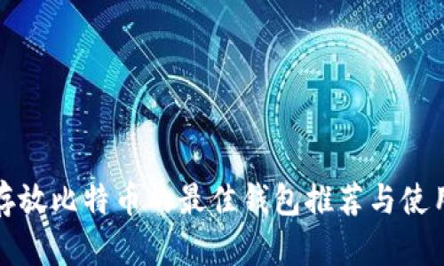 安全存放比特币的最佳钱包推荐与使用指南