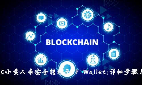 如何将MNC小黄人币安全转移至TP Wallet:详细步骤与注意事项