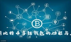 全面解析比特币多链钱包