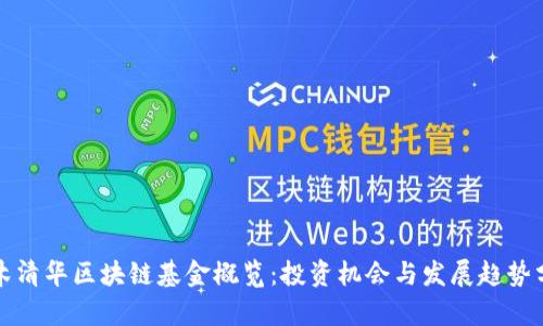 水木清华区块链基金概览：投资机会与发展趋势分析
