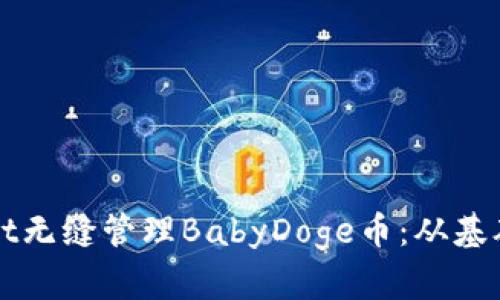 如何使用TPWallet无缝管理BabyDoge币：从基础知识到高级策略
