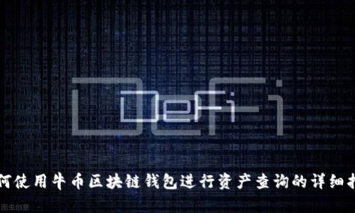 如何使用牛币区块链钱包进行资产查询的详细指南