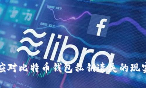 如何应对比特币钱包私钥遗失的现实挑战