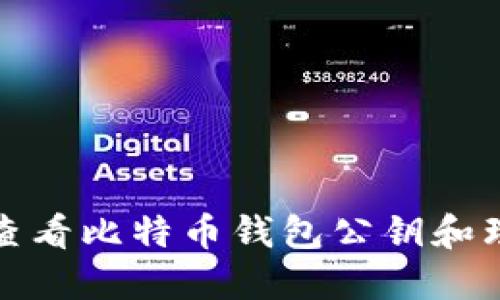 如何安全地查看比特币钱包公钥和理解其重要性