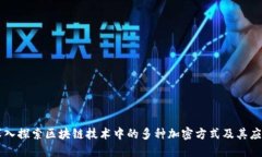 深入探索区块链技术中的