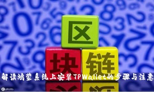 详细解读鸿蒙系统上安装TPWallet的步骤与注意事项
