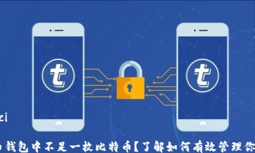
/guanjianci

## 比特币钱包中不足一枚比特币？了解如何有效管理你的数字资产