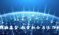 揭秘区块链模块基金：投