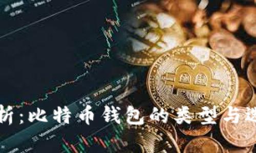 全面解析：比特币钱包的类型与选择指南