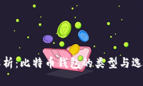 全面解析：比特币钱包的类型与选择指南