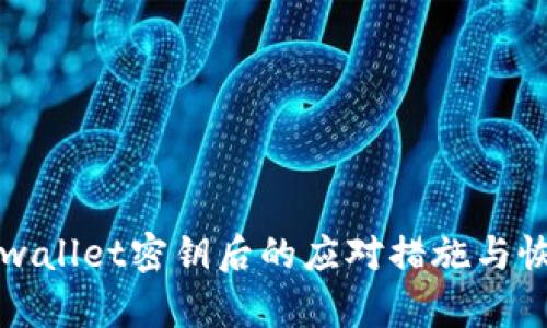 忘记tpwallet密钥后的应对措施与恢复指南