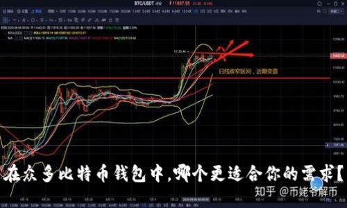 在众多比特币钱包中，哪个更适合你的需求？