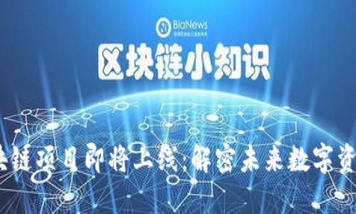 2024年重磅区块链项目即将上线：解密未来数字资产的趋势与机遇