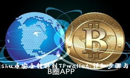 如何将Kishu币安全转移到TPwallet：详细步骤与注意事项