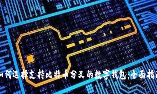 如何选择支持比特币分叉的数字钱包：全面指南